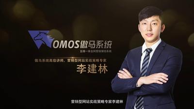 营销型网站策略专家李建林